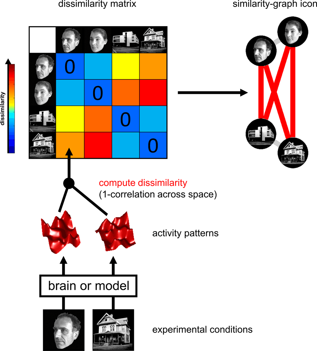 RSA Computation Process